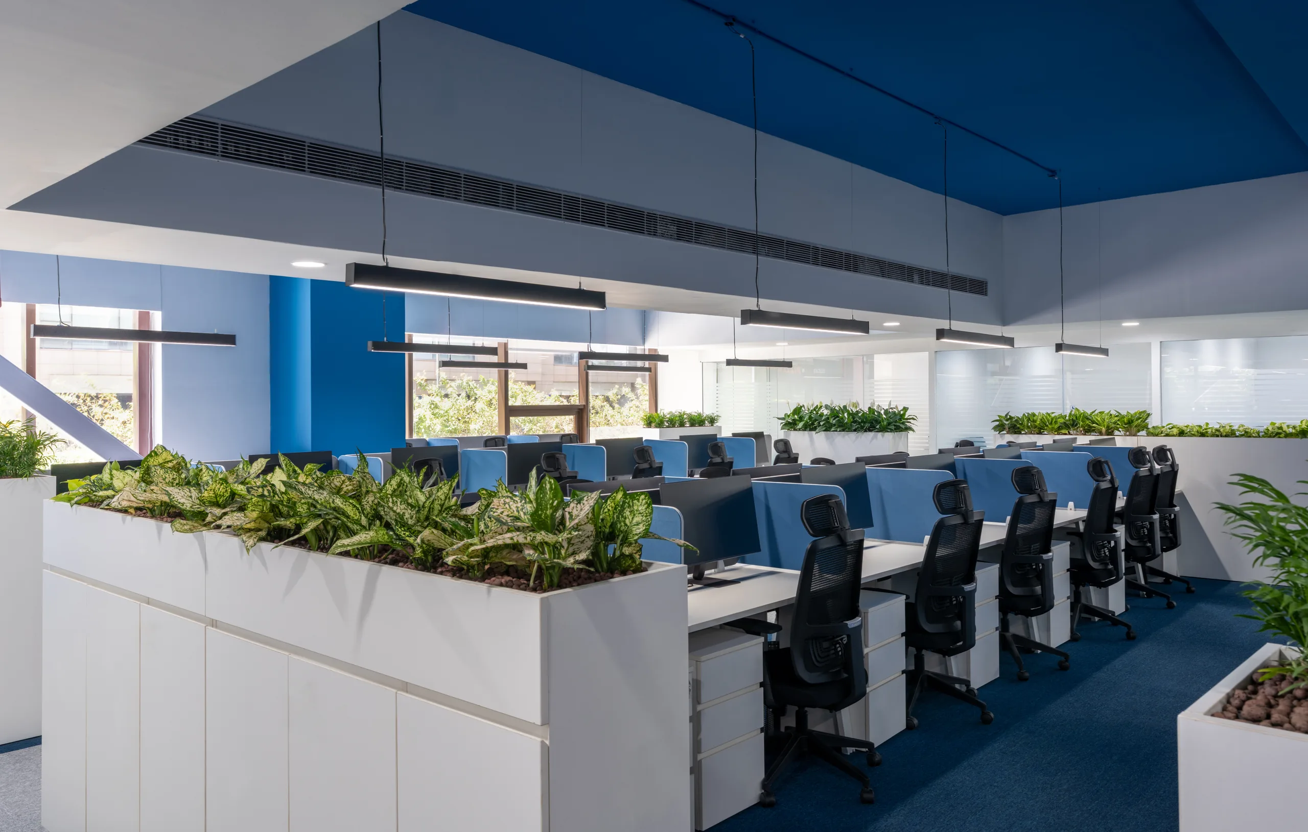 Open-plan workstations lined with planters beneath blue ceiling bulkheads, Blue Grid Workspace