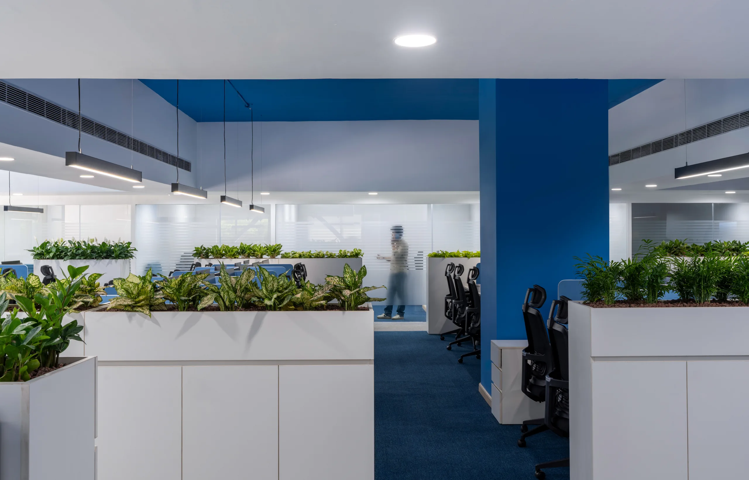 Workstations beside a planter wall and a deep blue column, Blue Grid Workspace