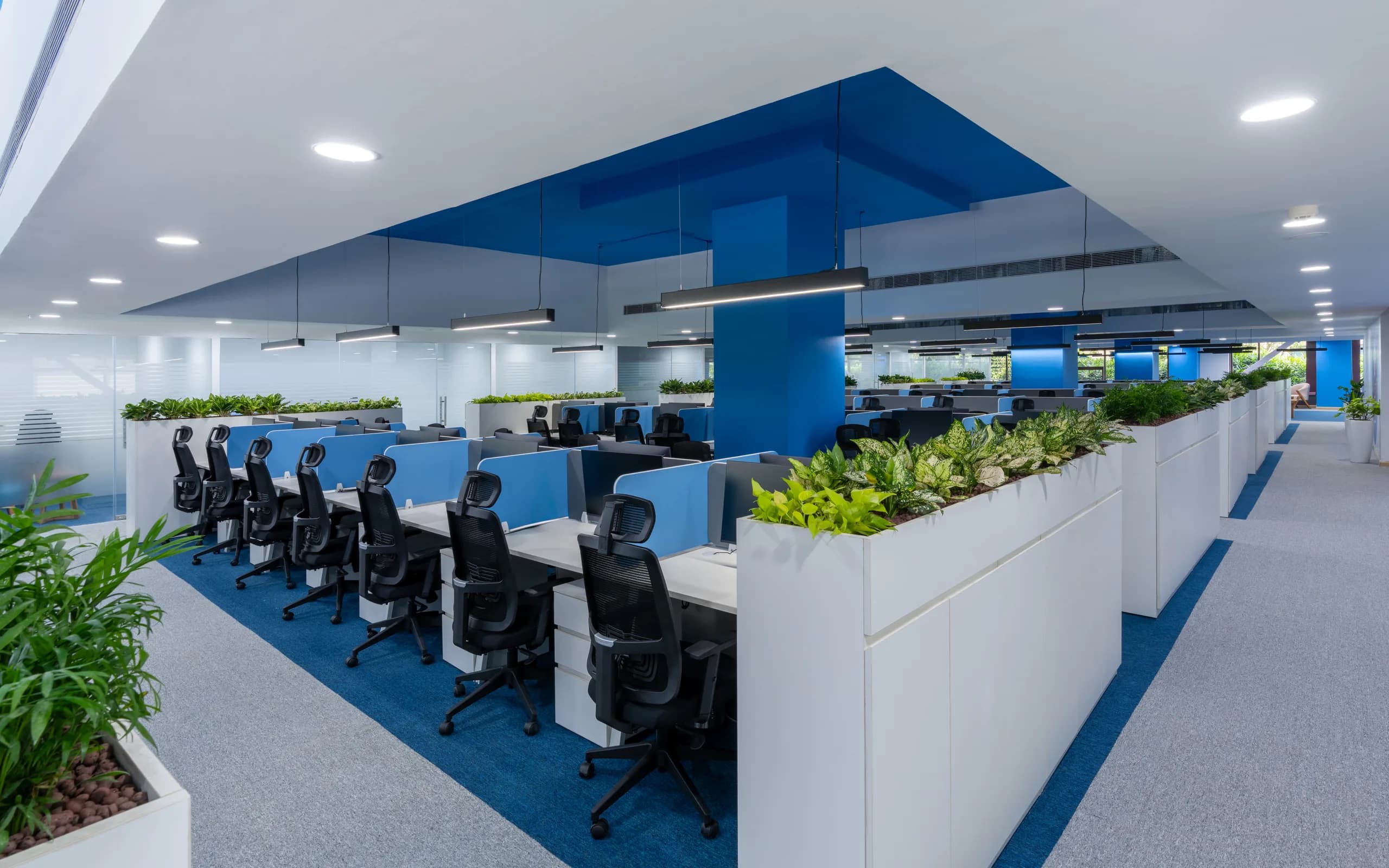 Long rows of workstations under blue ceiling cut-outs, Blue Grid Workspace