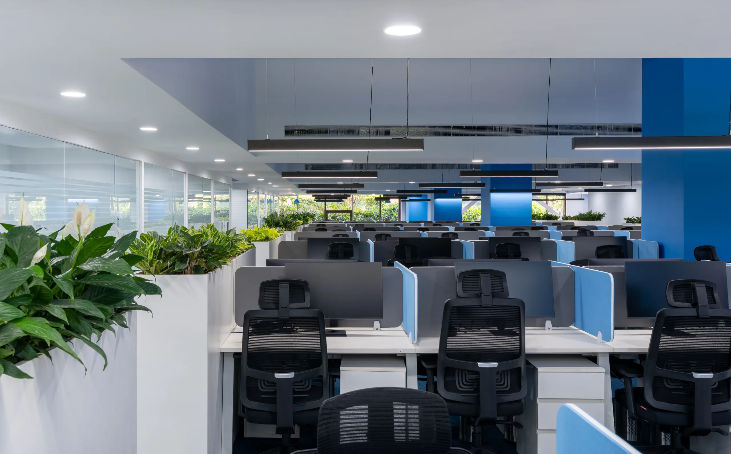 Workstation bay with planters and black task chairs, Blue Grid Workspace