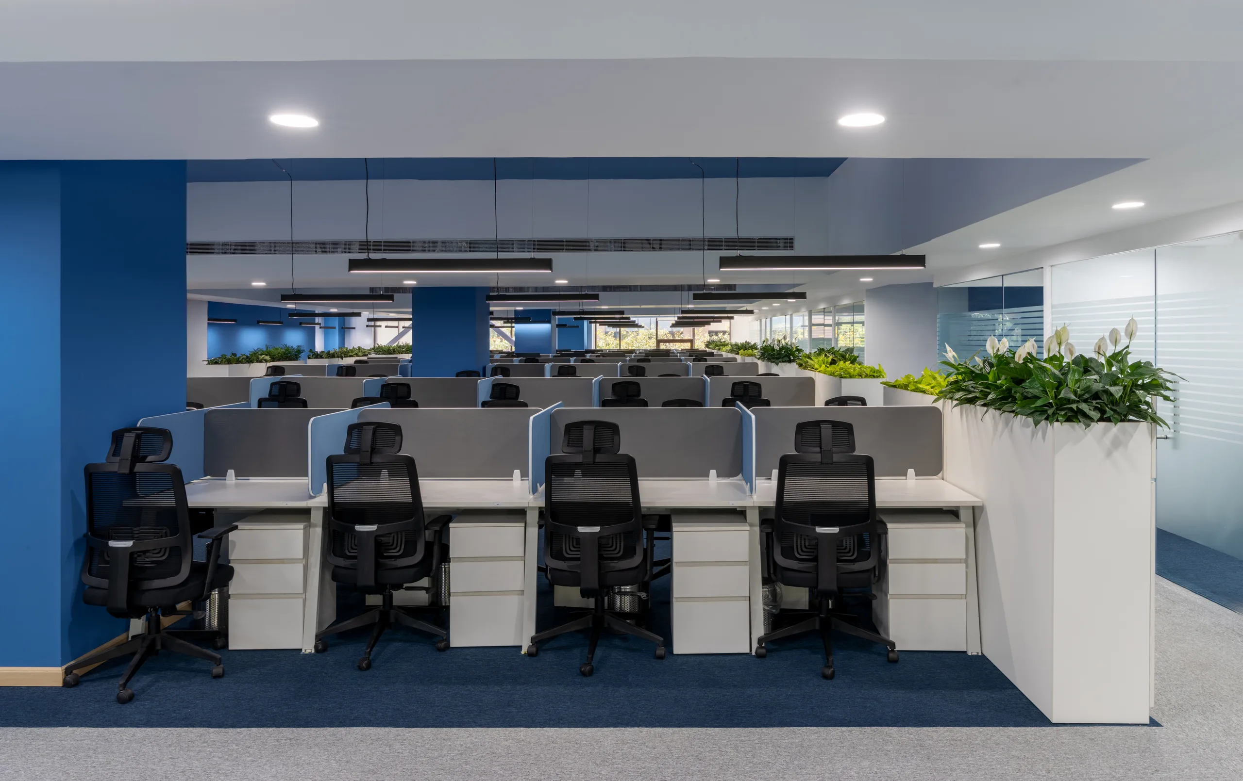 Workstation rows framed by blue columns, Blue Grid Workspace